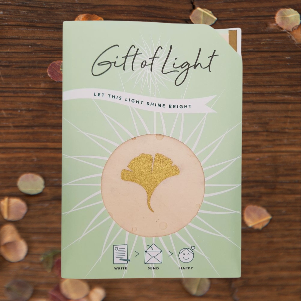 Gift of Light | Ginkgo