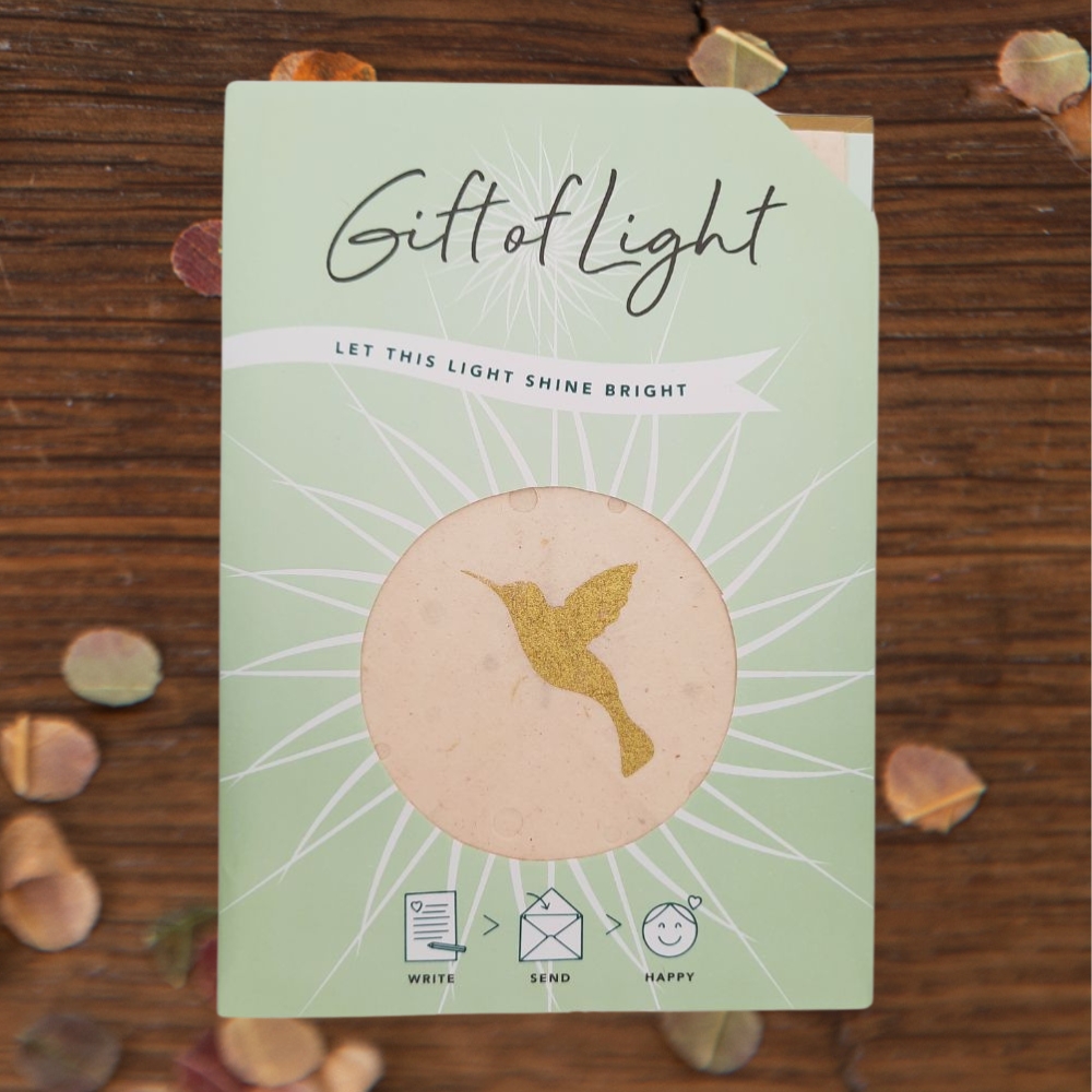 Gift of Light | Hummingbird