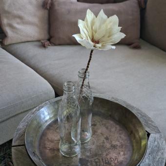 wishing bloom lotus