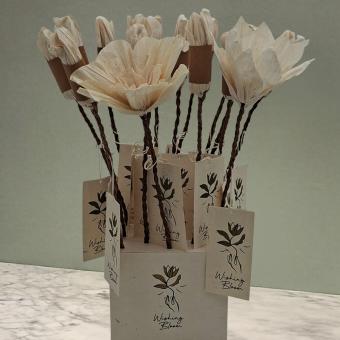Wishing Bloom | Display