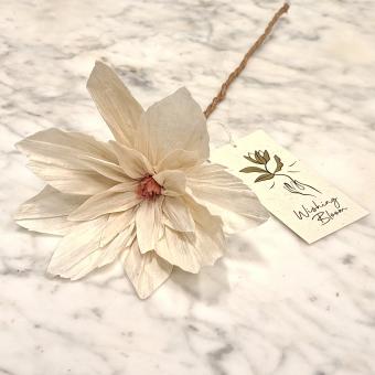 wishing bloom lotus