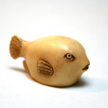 Takifugu - Puffer Fish | 5,5 cm