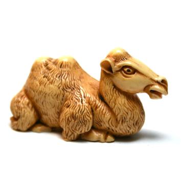 Camel | 5 cm