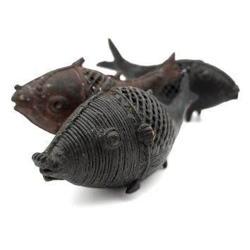 Dhokra Bridal fish | 9-11 cm