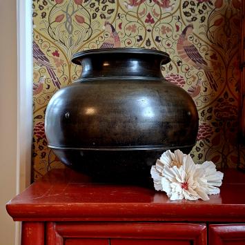 Wishing Bloom | Lotus