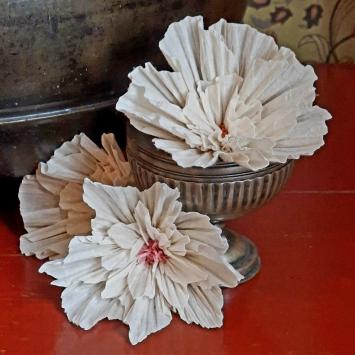 Wishing Bloom | Lotus