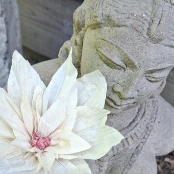 Wishing Bloom | Lotus