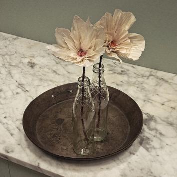Wishing Bloom | Lotus