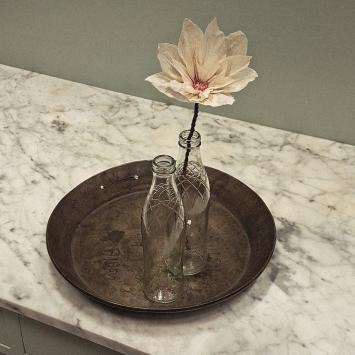 Wishing Bloom | Lotus