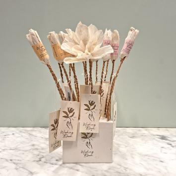 Wishing Bloom | Lotus