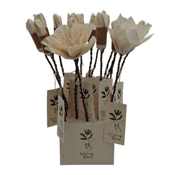Wishing Bloom | Display