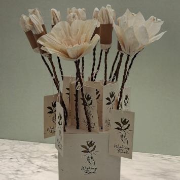 Wishing Bloom | Display