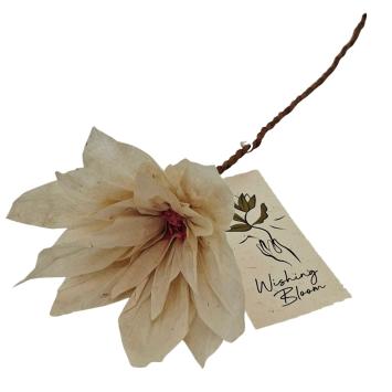 Wishing Bloom | Lotus