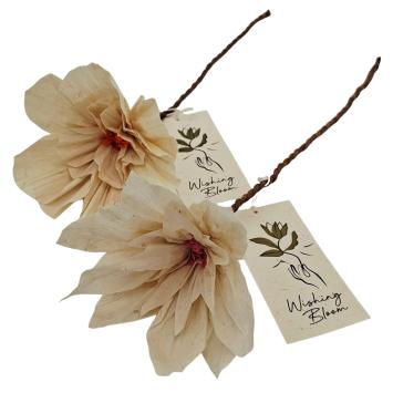 Wishing Bloom | Display