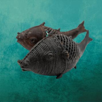 Dhokra Bridal fish | 9-11 cm