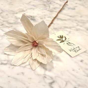 wishing bloom lotus