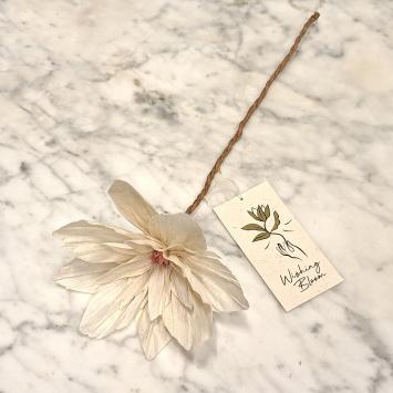 Wishing Bloom | Lotus