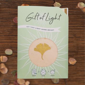 Gift of Light | Ginkgo