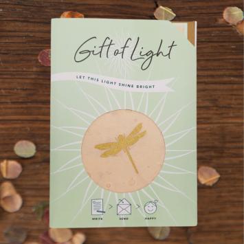 Gift of Light | Dragonfly