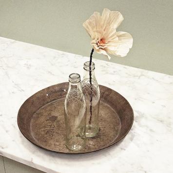 Wishing Bloom | Anemone