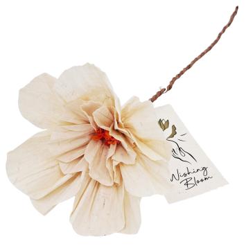 Wishing Bloom | Display