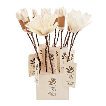 Wishing Bloom | Display