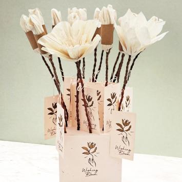 Wishing Bloom | Display