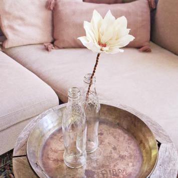 Wishing Bloom | Lotus