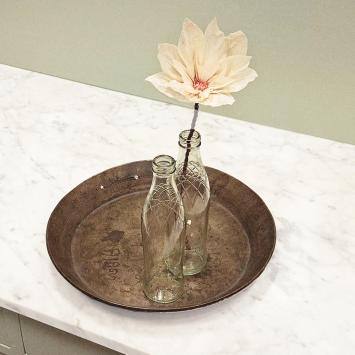 Wishing Bloom | Lotus