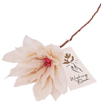 Wishing Bloom | Display