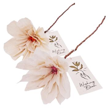 Wishing Bloom | Display