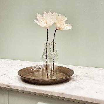 Wishing Bloom | Anemone