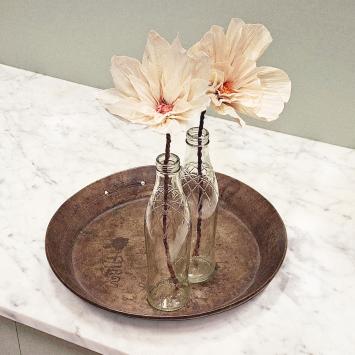 Wishing Bloom | Anemone